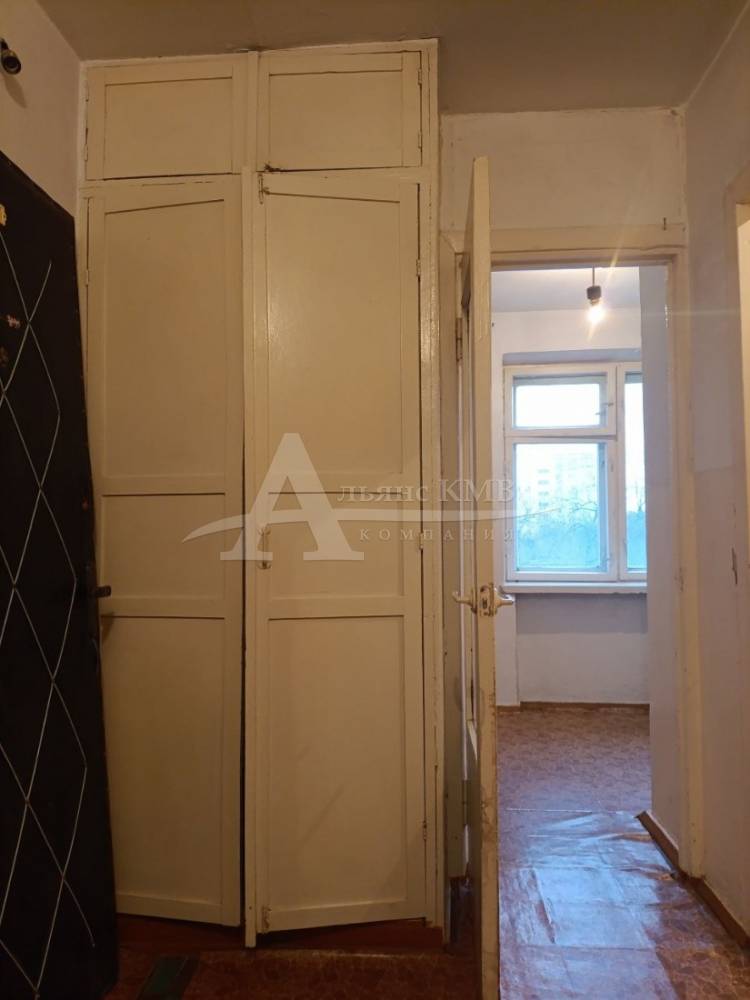 photo_5256124099052901245_y