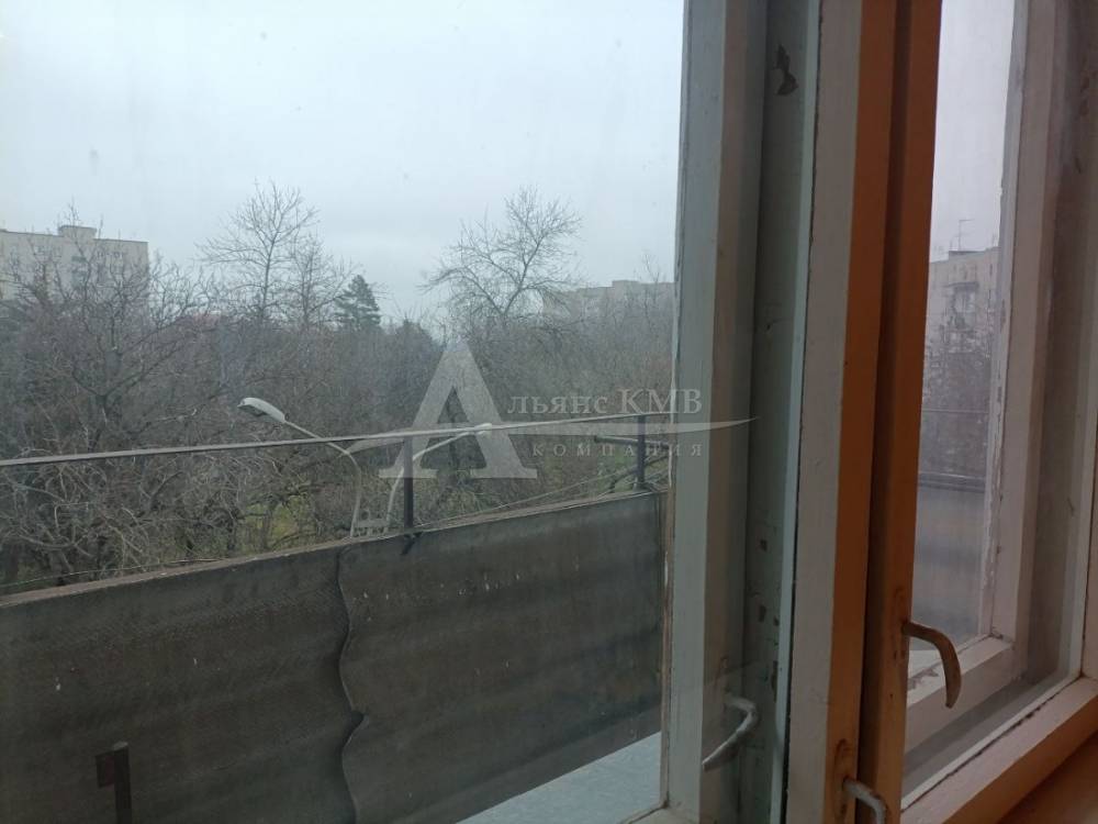 photo_5256124099052901221_y