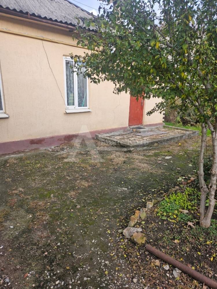 6a894b31-6b5c-4afb-92c6-d993c12cb1fd