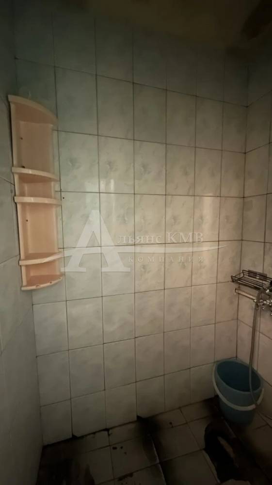 img_20260305_151255_018