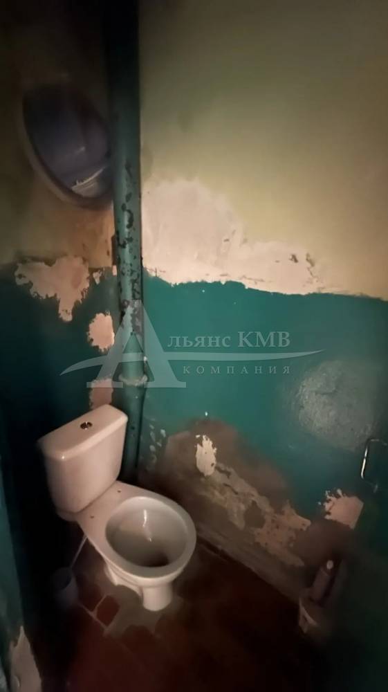 img_20260305_151301_811