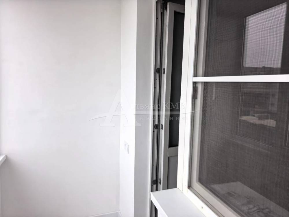 img_20260302_113426_598