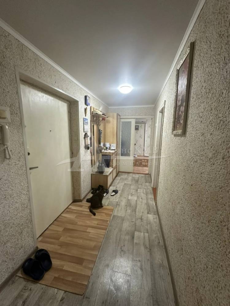 img_20260226_130236_730