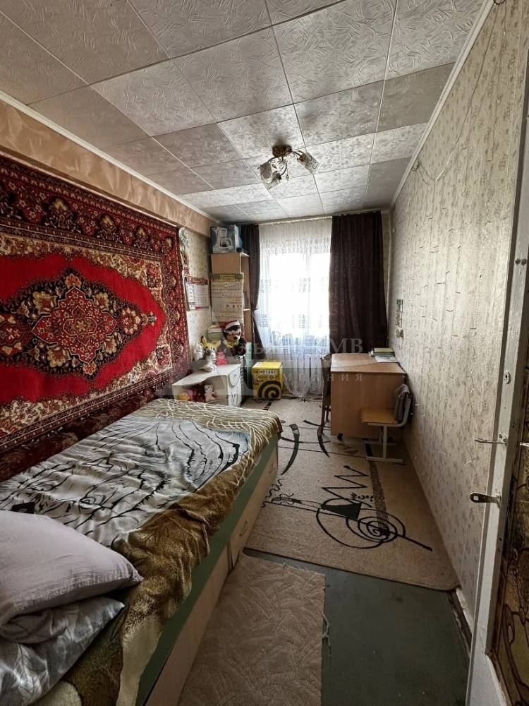 img_20260310_125912_379