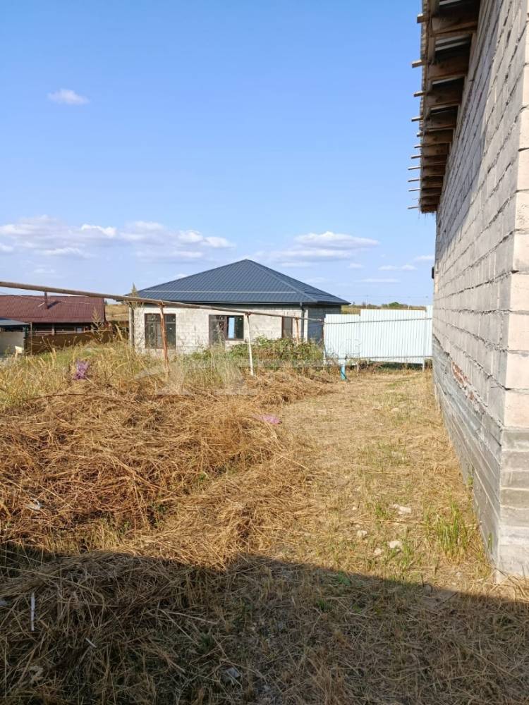 photo-2026-03-02-12-23-01