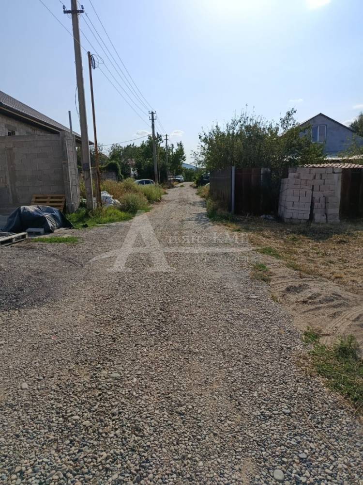 photo-2026-03-02-12-23-03