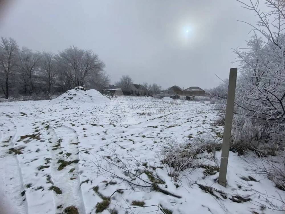 img_20260302_231734_290