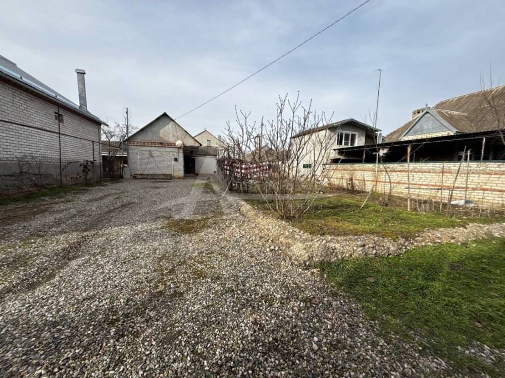 img_20260304_230025_146