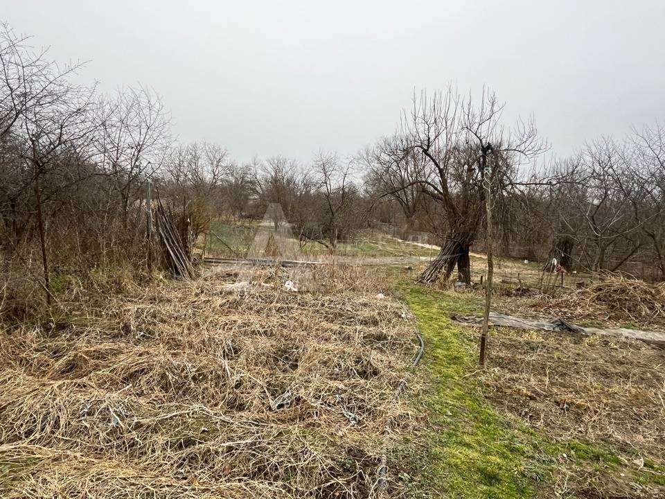 image-05-03-26-03-36-7