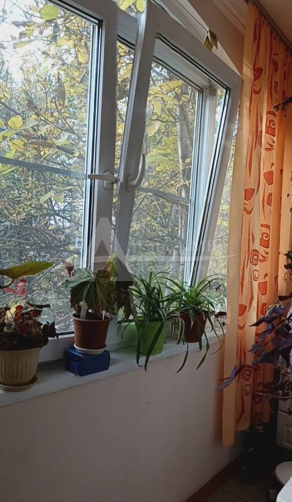 img_20260311_133958_132