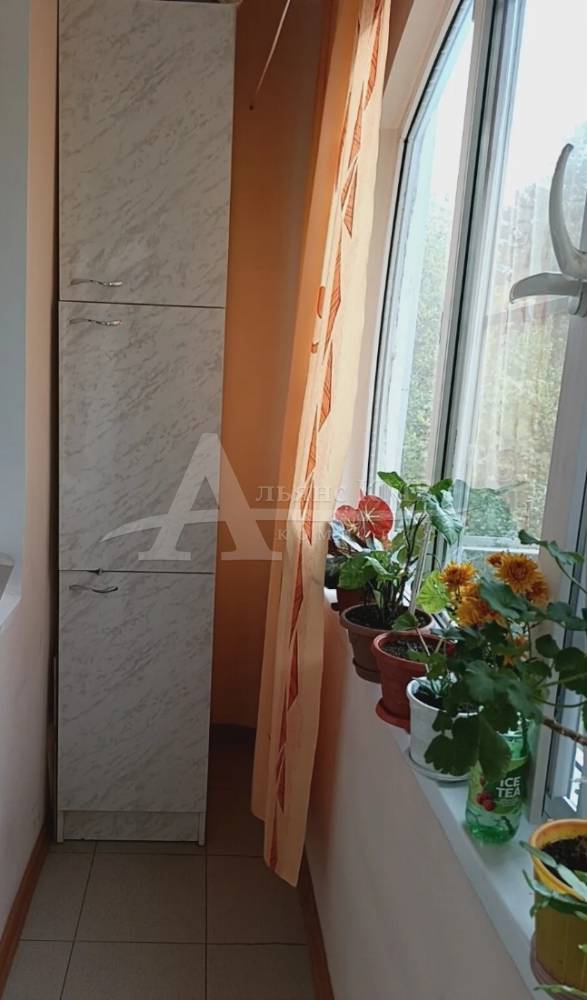 img_20260311_133954_858