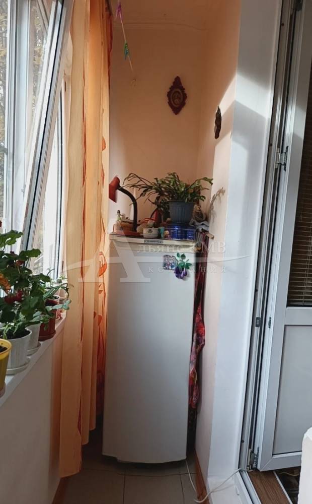 img_20260311_133951_914