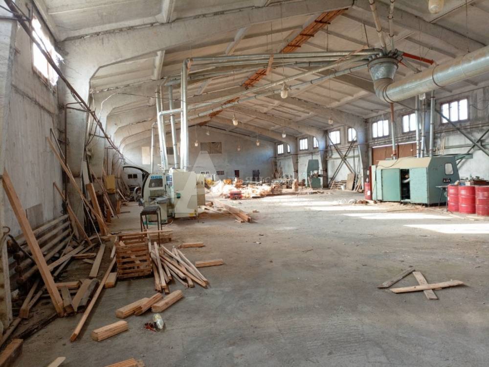 img_20260312_155844_991