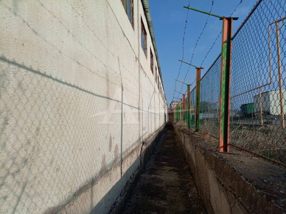 img_20260312_160320_183