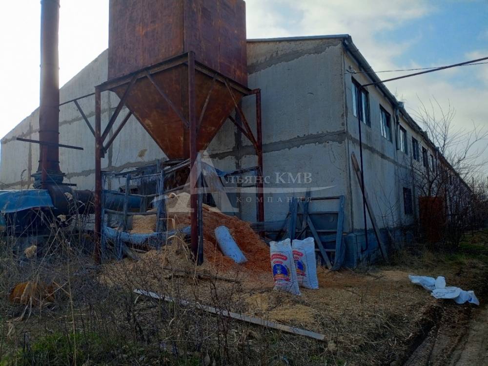 img_20260312_155756_235