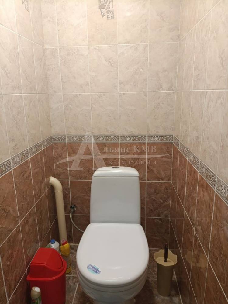 photo_5314515966148416425_y