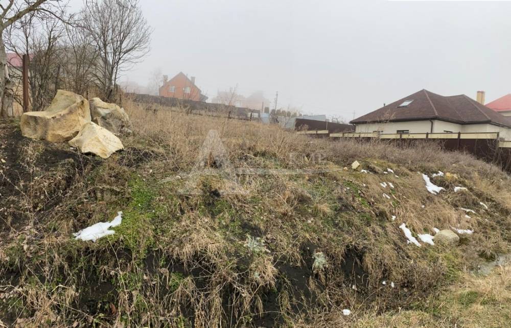 b2b7b972-4dfa-41ca-8b98-8358c5976450