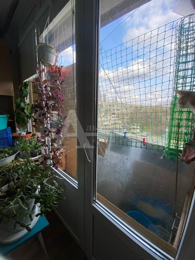 ime73i2jwnntfq3rngoyseujlkbvwtcudjpzvqg46thjrflqrtacmjssznksrwxhd6jgc38vkbbjdusc-tppgtub