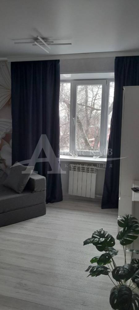 photo_5276037852359760089_y