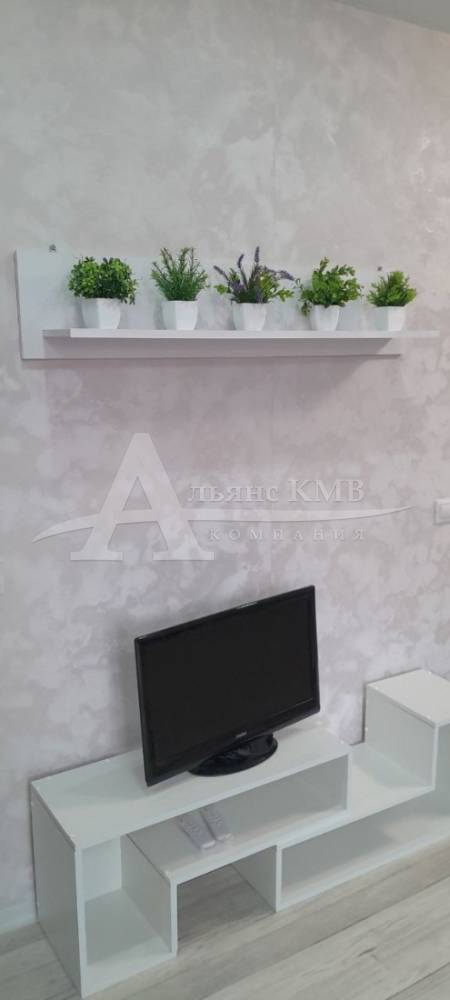 photo_5276037852359760083_y