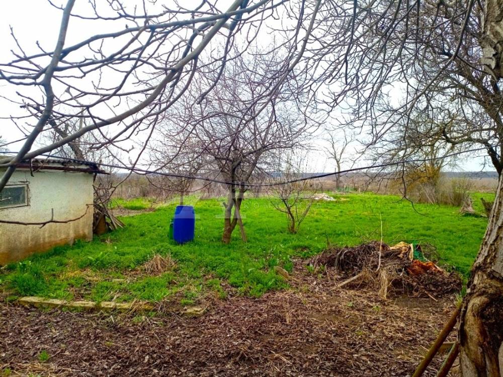 img_20260327_134118_620