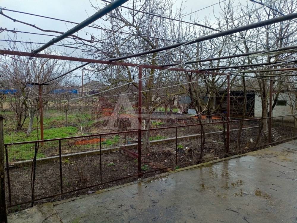 img_20260321_102511_471