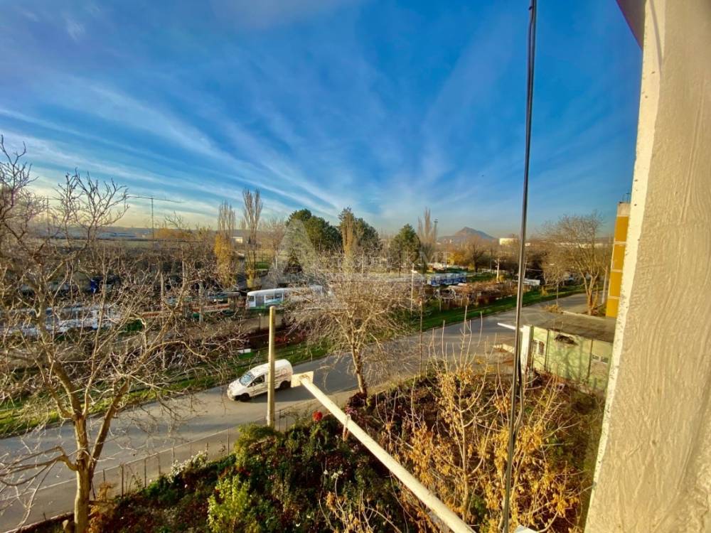 Вид из окна