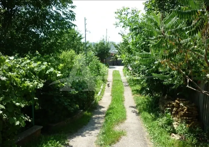 bc811077-afee-4f51-a3d1-dc76a9c81ff7