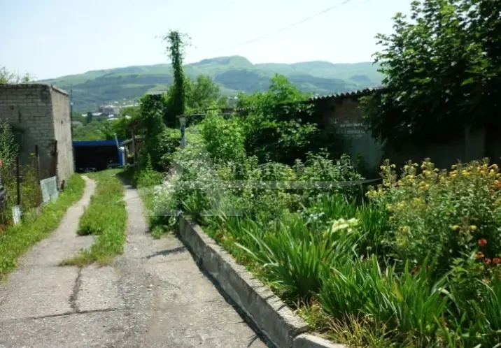 92439f37-ed63-46a1-ae68-e5469ace0426