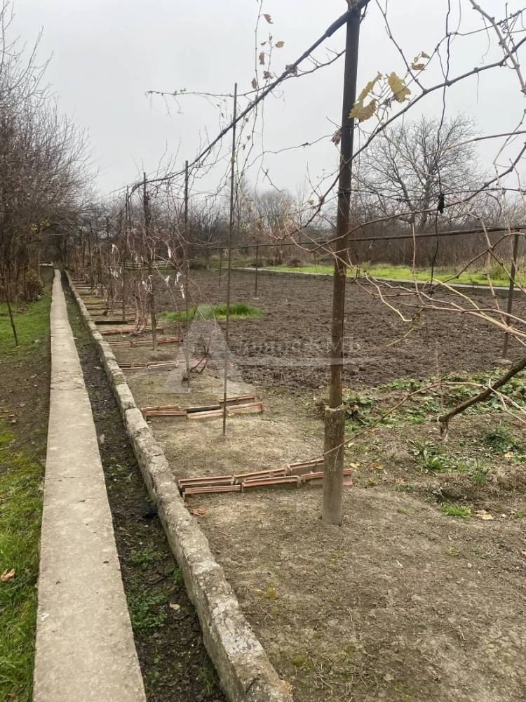 img_20260424_155458_490