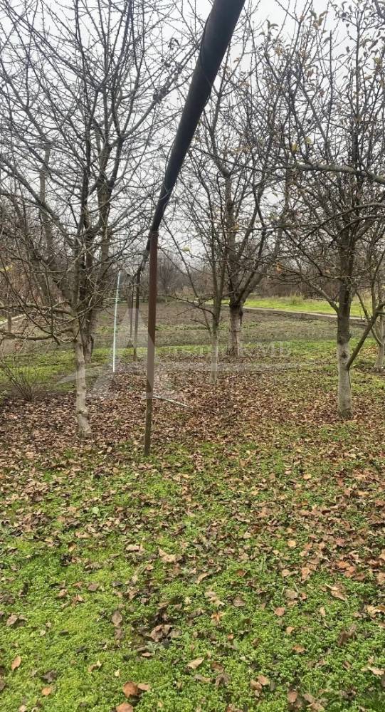 img_20260424_155458_464 (1)