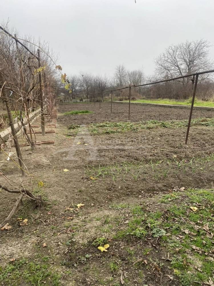 img_20260424_155458_461