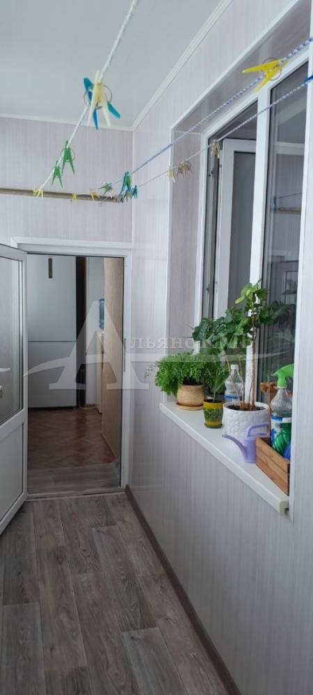 photo_5269297498189140535_y