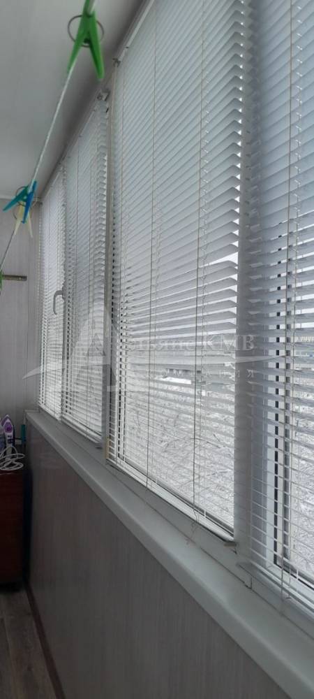 photo_5269297498189140537_y