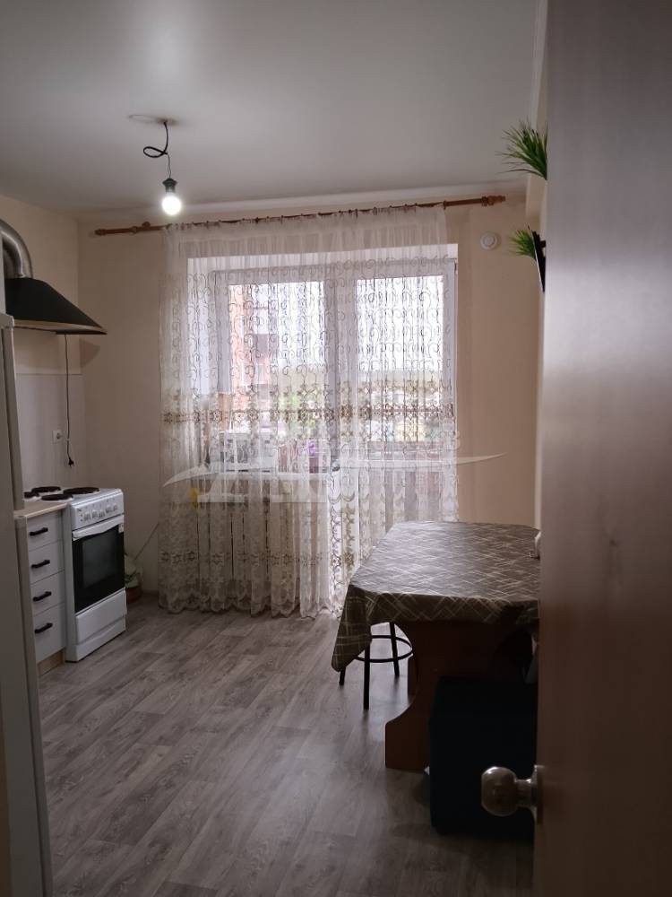 45502