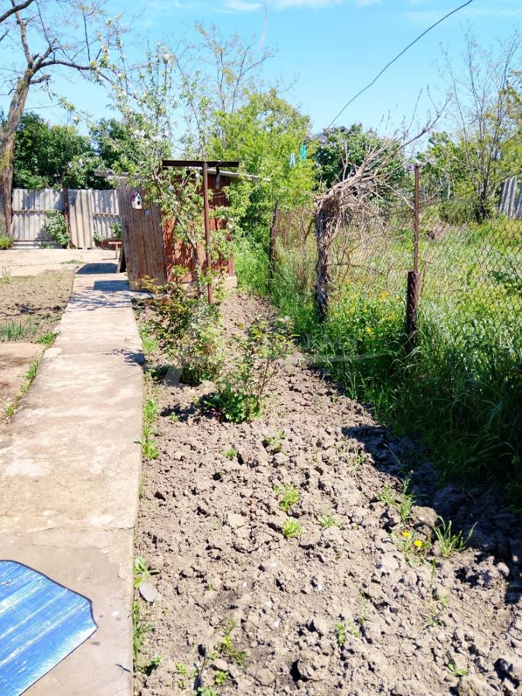 45982
