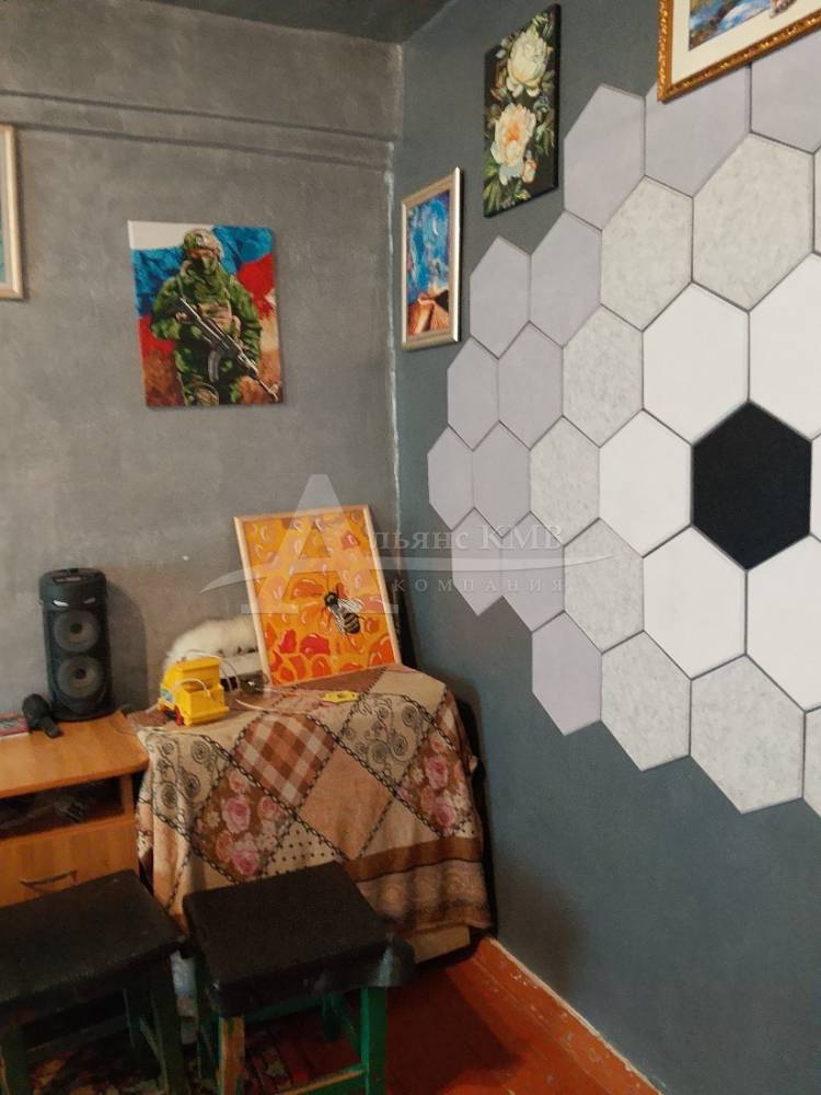 36569