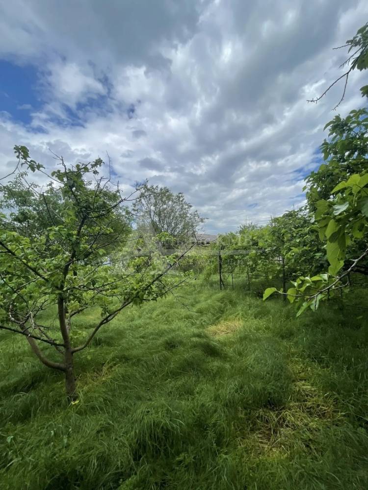 Ставропольский край, Георгиевск, Горького ул.; Дом 42,50м² на участке 9,16 сот. 1 эт.