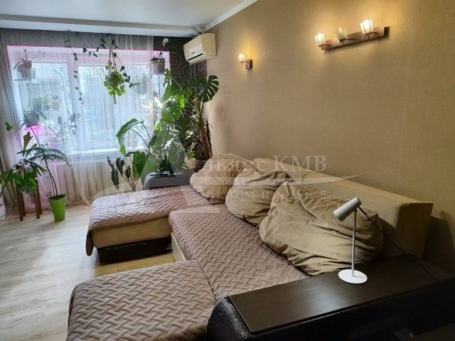 img_8224.png (1)
