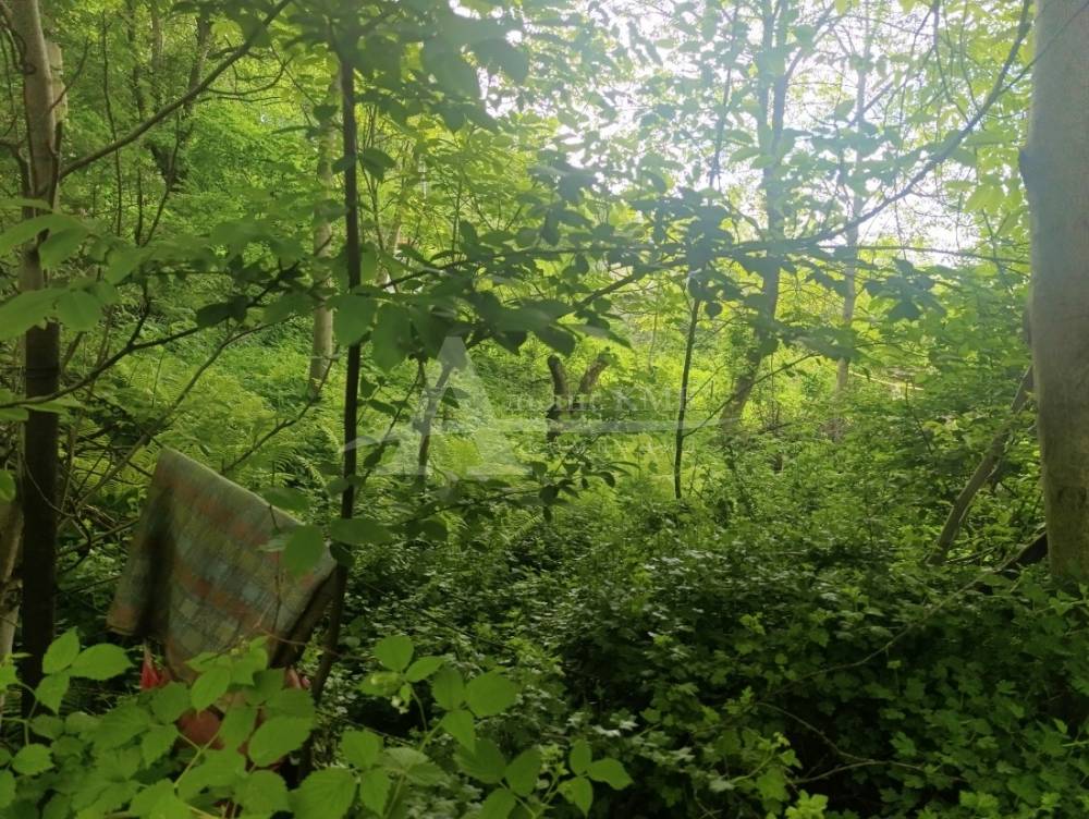 1000964961