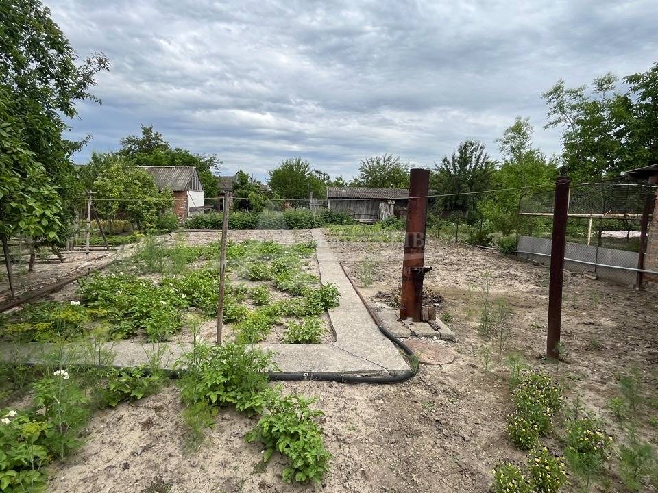 огород