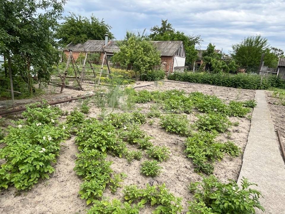 огород