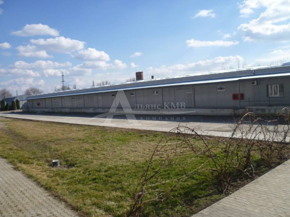p1030140